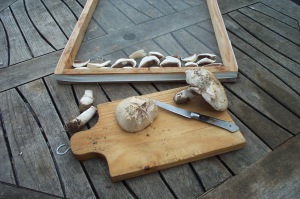 Preparing mushrooms for drying